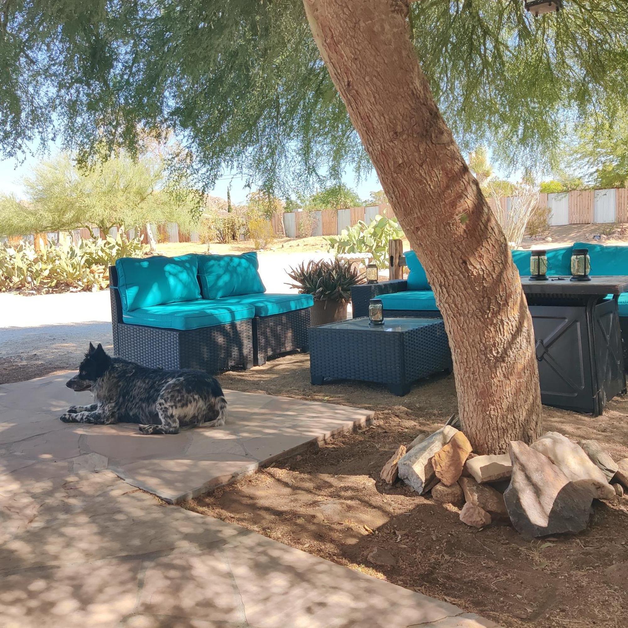 Joshua Tree Ranch House Motel - Downtown - Room #8 Экстерьер фото